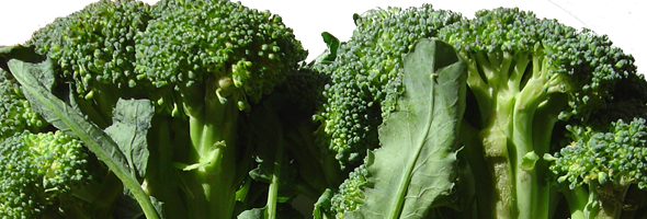 broccoli-banner